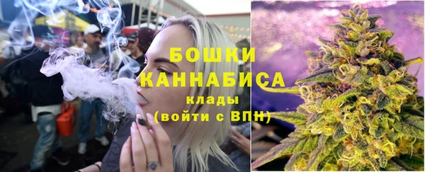 сатива Нижний Тагил