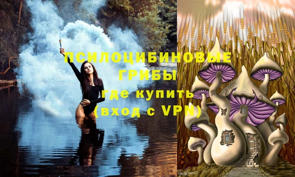 сатива Нижний Тагил
