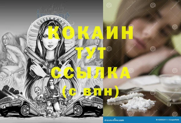 крисы Армянск
